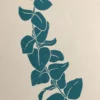 Eukalyptus – Bild 2