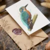 Postkarte "Eisvogel"