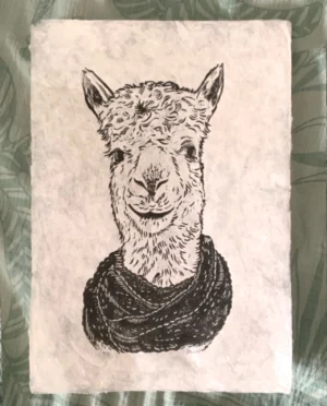 Linoldruck eines Lama-Portraits, das einen Schal trägt.