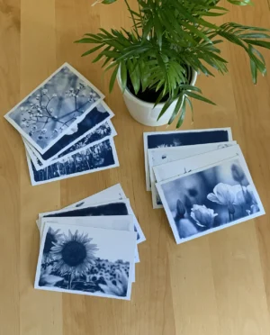 Postkarten-Sets mit je 4 Blumen-Motiven